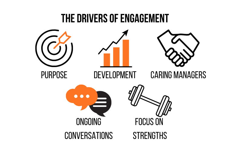 DRIVERS OF ENGAGEMENT
